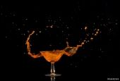 IIP Online Student Photography